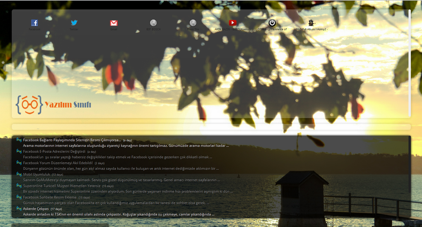 Google Chrome Start