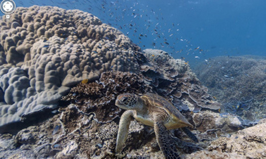 Google Artık Okyanusta